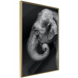 Arkiio Affisch Portrait of Elephant [Poster] 30x45 Poster